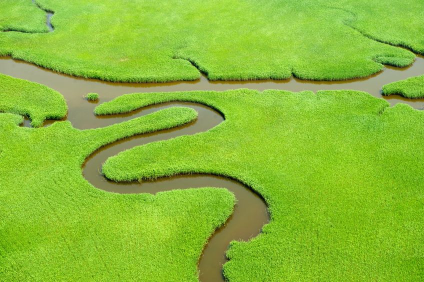 18029971 - aerial view of lush coastal wetlands