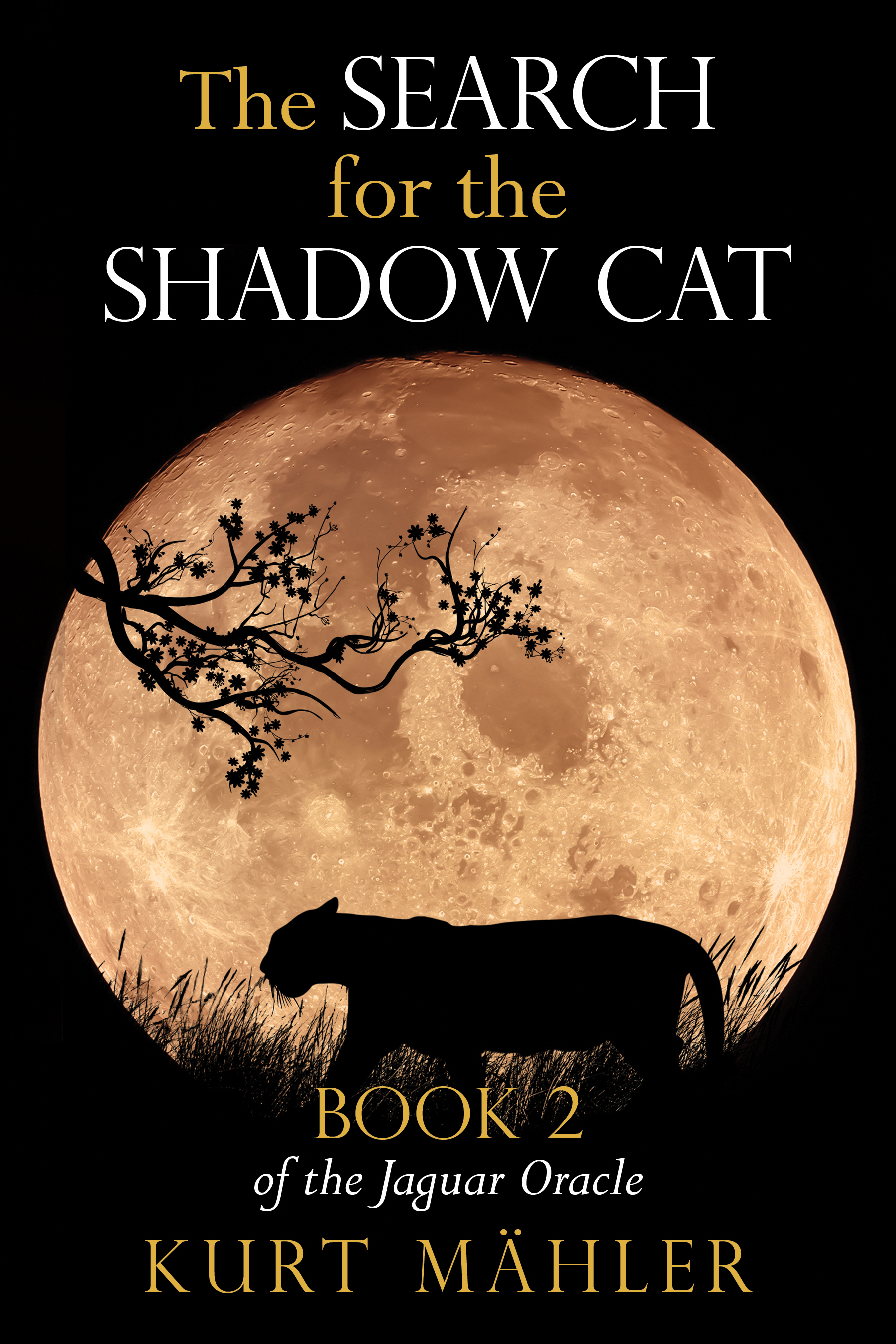 The Search for the Shadow Cat (The Jaguar Oracle Book 2)